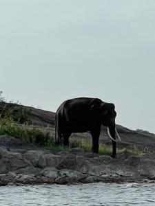 Ariya Rest & Ayurveda spa