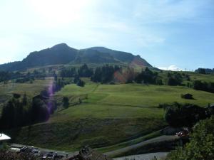 Appartements Charmant 2 pieces au coeur du Chinaillon - 4 Pers. - FR-1-458-243 : photos des chambres