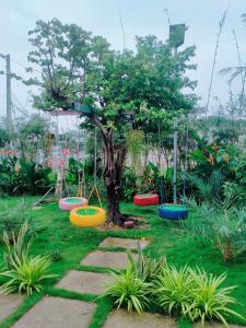 Hồ Tràm Pink house