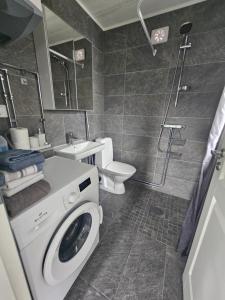 Aurora Jukkas Lodge 2 - Arctic Suite