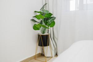 Cozy one bedroom in Westlands with Pool, View and Gym, Close proximity to Sarit Centre and Westgate Mall