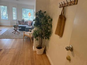 Stylish Comfort on the Park