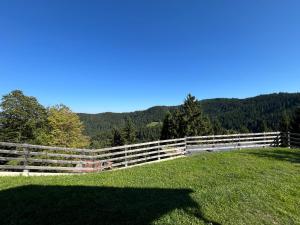 Sedmakovo - Počitniška hiša v naravi - Ljubno ob Savinji