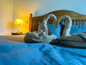 sunny mound unawatuna close by sri yoga shala