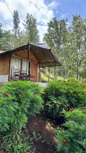 Deshadan Jungle - Ubytování bez kategorie ve městě Kanthalloor