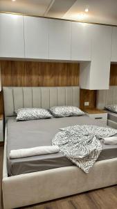 Comfort Apartment With Kitchen