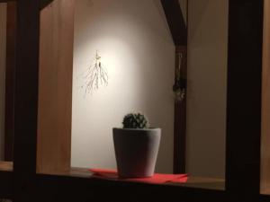 KINOSAKI KNOT female only - Vacation STAY 25710v