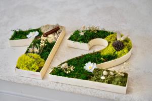 Hotels Hotel de France : photos des chambres