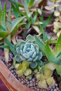 Hotels Hotel de France : photos des chambres