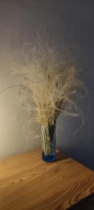 Studio 2 pers Haut Var