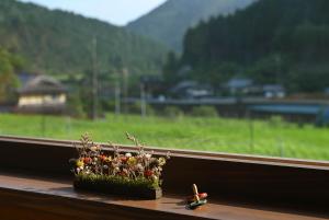 Koya Miyama