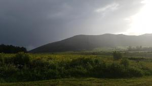 B&B Gennemara - Porta del Mare img49