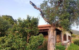 B&B Gennemara - Porta del Mare img57