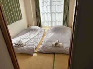 Shimaville Japan, El Corpo