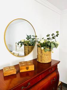 Amazing New Torrox premium front SEA