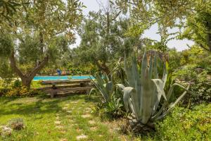 Villa Verdena - Carovigno