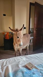 B&B Gennemara - Porta del Mare img8