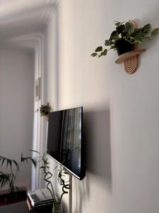 Three bedroom apartment in the centre of the city