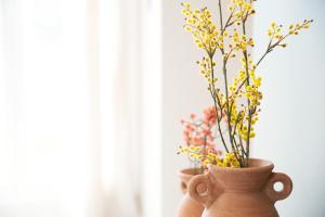 Zabella Ossau - Nuevo ático a estrenar en el tubo