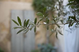 Appartements Bon Jour Uzes : photos des chambres