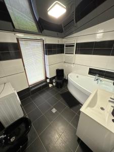 Галерея Карпат