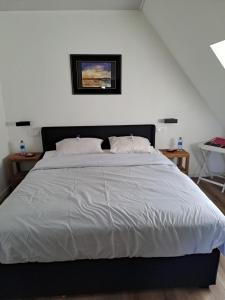 B&B / Chambres d'hotes la hamonniere : photos des chambres