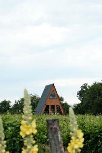 Akido - Ubytování bez kategorie ve městě Kvareli