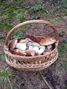 Hájenka Nebe-apartmán NEBE