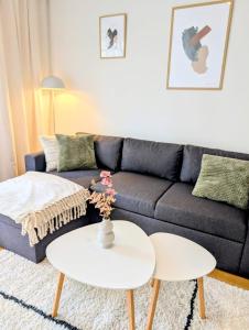 Nice and cozy city apartment, free parking