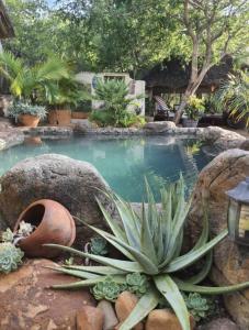Canyon guest villa
