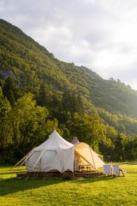 Glamping Gozdna Jasa 