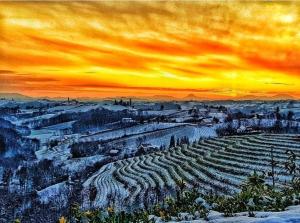 Hilltop vineyard house 