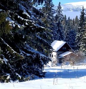 Chata pod Kriváňom