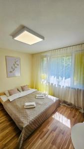 Batorego16 Yellow Studio