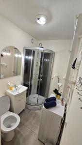 Batorego16 Yellow Studio