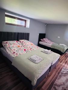 Suterena Kalinówka Felin Loft