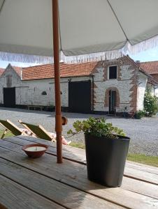 B&B / Chambres d'hotes Cottage Montreuil-sur-mer Petit dejeuner inclus : photos des chambres
