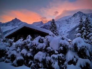 Logan - Appartement spacieux 4 chambres - Animaux acceptés - Parking - FR-1-343-266