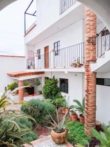 Casita Olivia