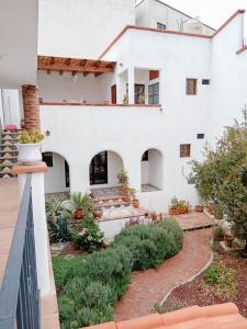 Casita Olivia