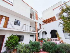 Casita Olivia