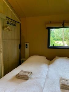 Veluwse boerderij beleving - Hoeve Meijer