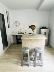 APARTAESTUDIOS INDEPENDIENTES CASA MIRAFLORES g