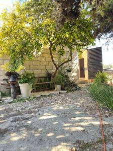Apartment & studio with city views