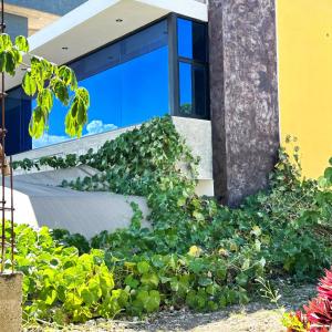 Apartment & studio with city views