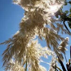 Apartment & studio with city views