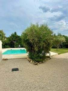 Villas Villa les Oliviers : photos des chambres