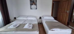 Dom pod Śnieżnikiem