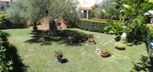 B&B Casa Piras IUN3880 img5