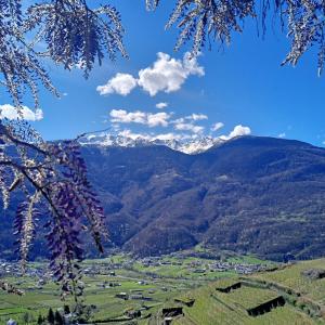 Casa il Glicine Valtellina
